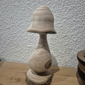 Champignon désaxé 2 axes